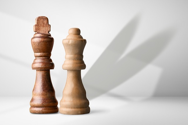 mandataire IOBSP et mandataire IAS